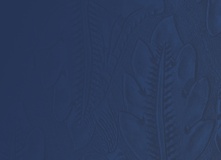 horseshoe Background Mobile