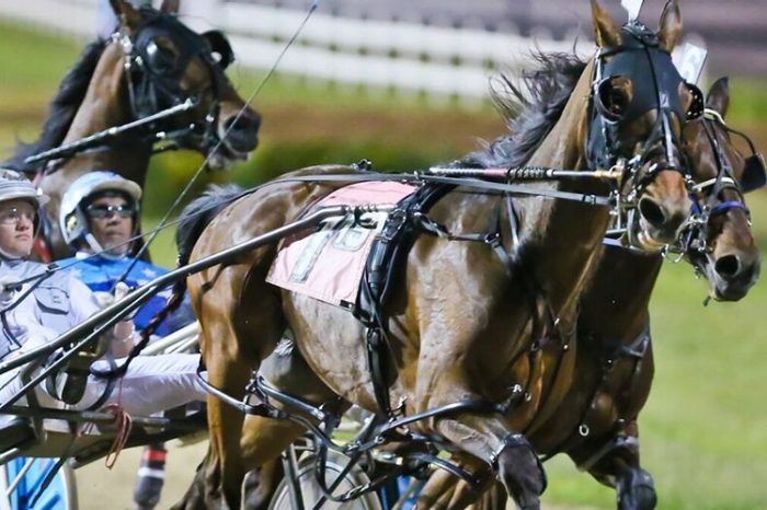 Horse Racing | Harrah's Hoosier Park Racing & Casino