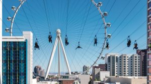 FlyingLINQ Zipline FlyingLINQ Zipline