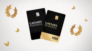 ent cr footer visa ent cr footer visa