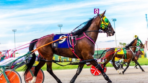 Columbus, Ohio Horse Racing - Eldorado Gaming Scioto Downs