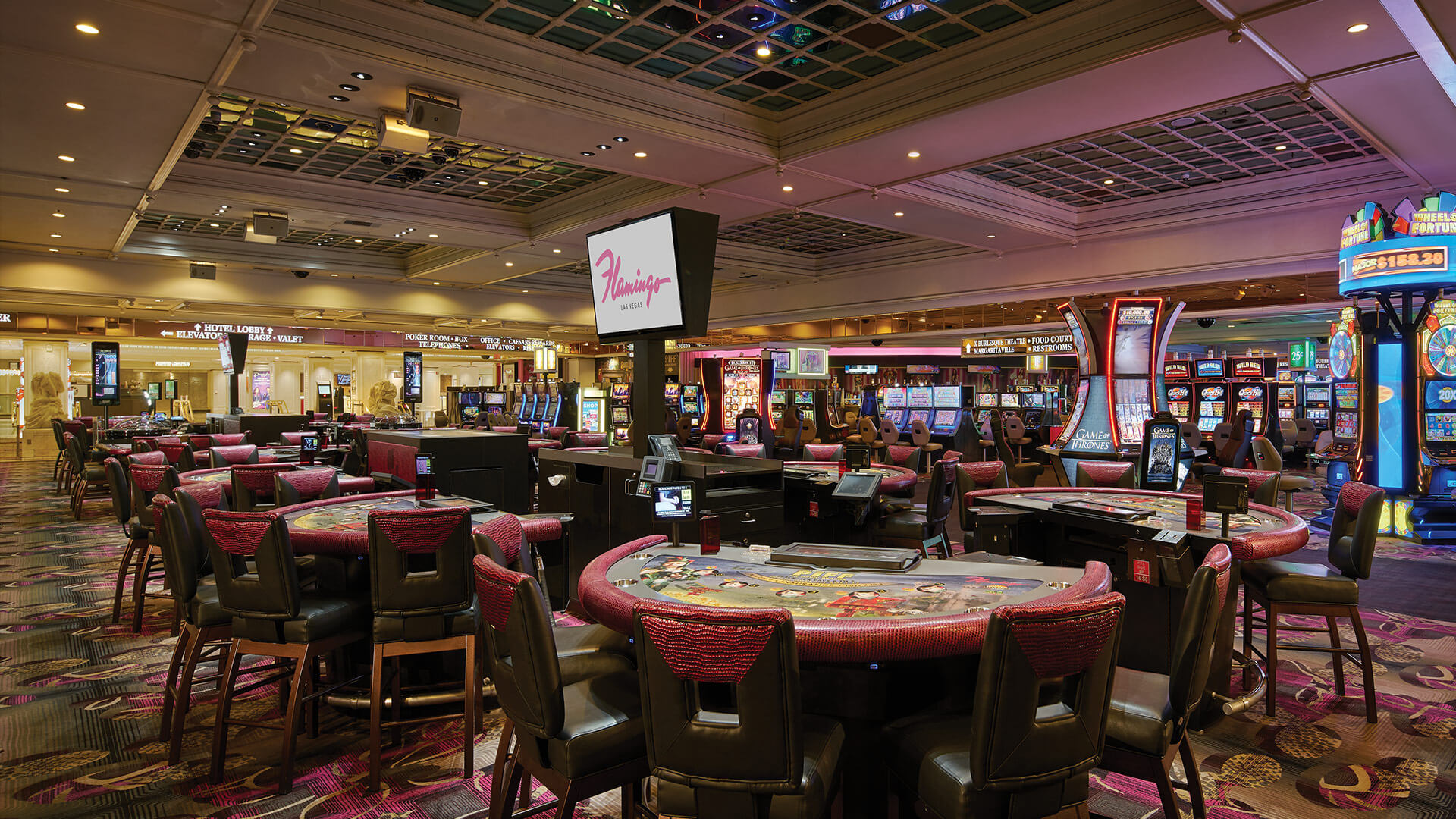 Flamingo Las Vegas - Flamingo Hotel Las Vegas
