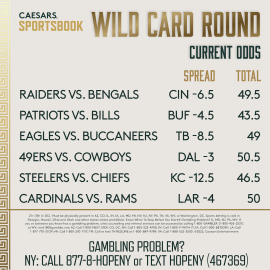 Wild Card Weekend odds