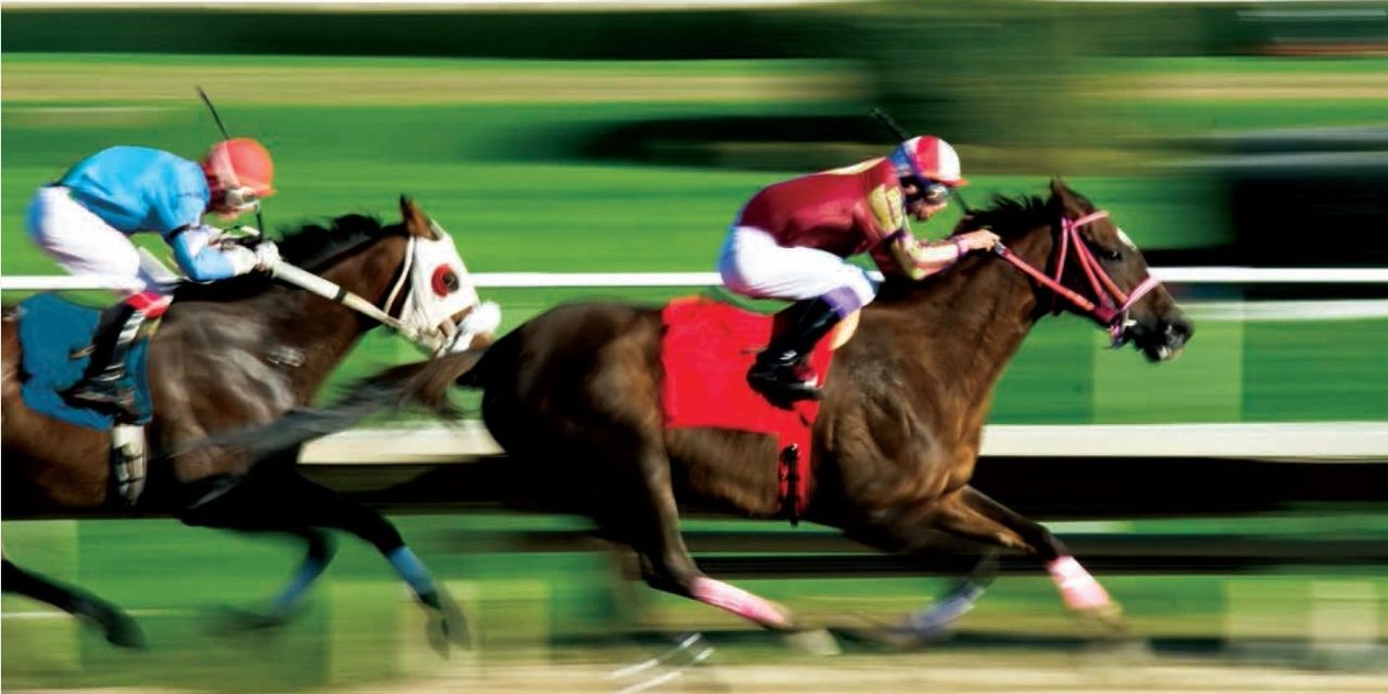 Off Track Betting Maryland - Baltimore OTB Horse Racing | Horseshoe Baltimore