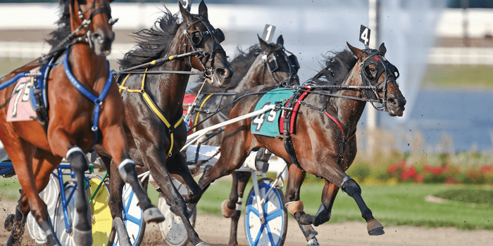 Horse Racing Gambling
